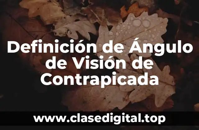 Definición de Ángulo de Visión de Contrapicada