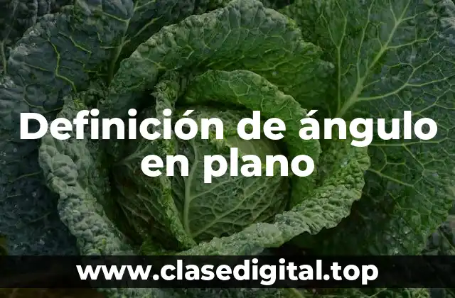 Definición de ángulo en plano