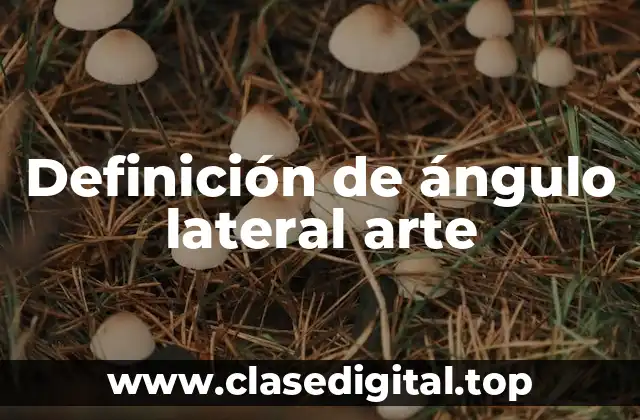 Definición de ángulo lateral arte