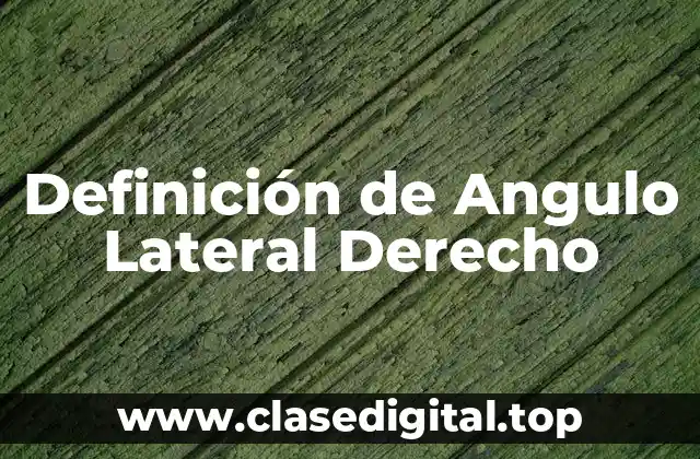 Definición de Angulo Lateral Derecho