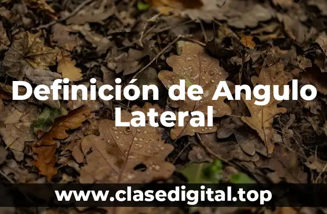 Definición de Angulo Lateral