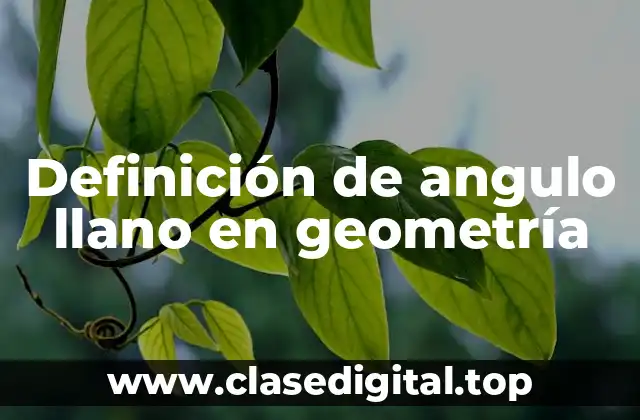 Definición técnica de ángulo llano