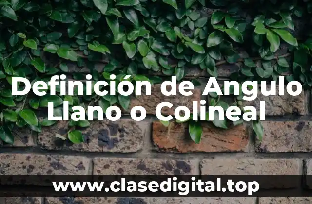 Definición de Angulo Llano o Colineal