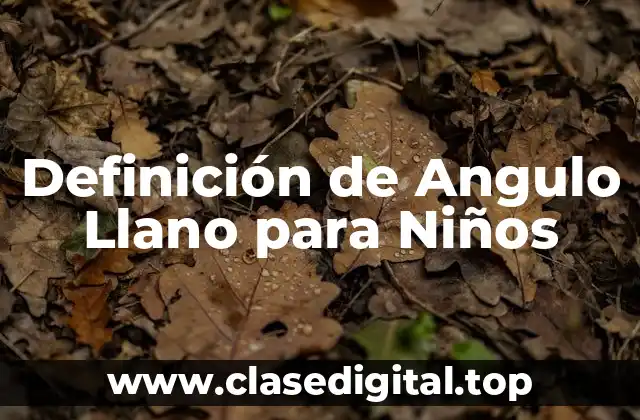 Definición Técnica de Angulo Llano