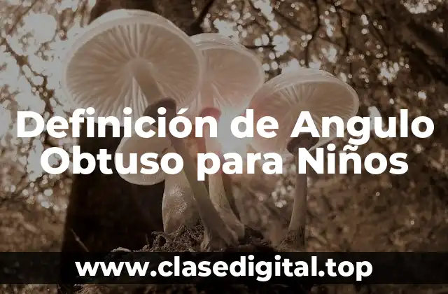 Definición de Angulo Obtuso para Niños