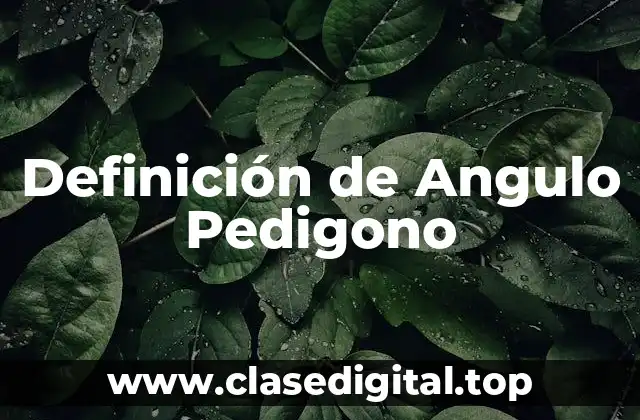 Definición de Angulo Pedigono