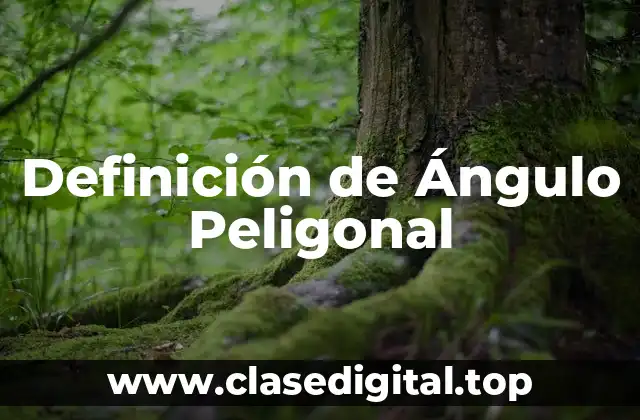 Definición de Ángulo Peligonal