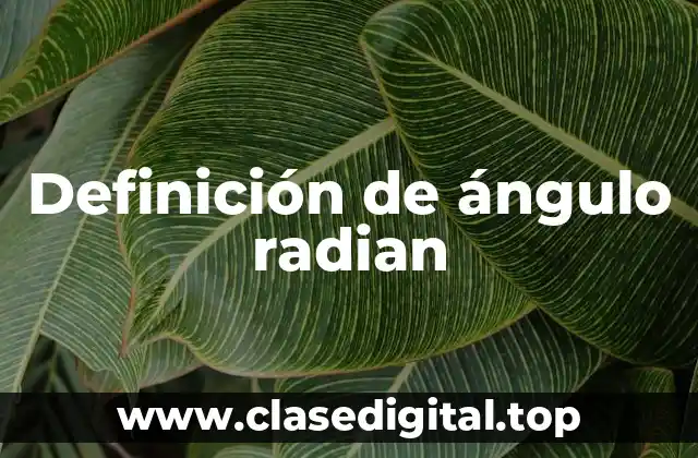 Definición de ángulo radian