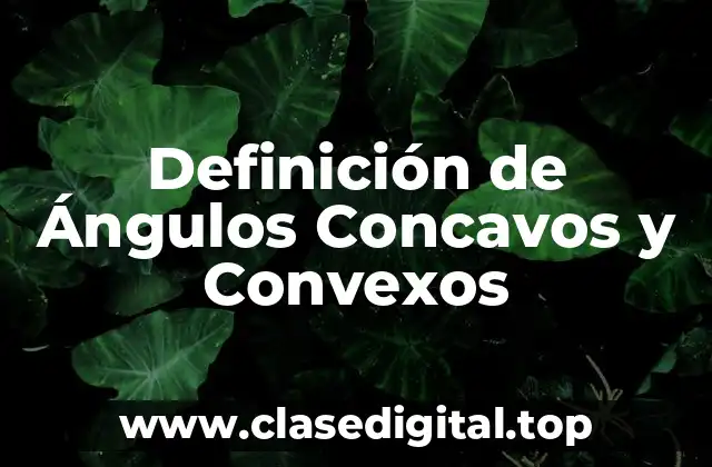 Definición de Ángulos Concavos y Convexos
