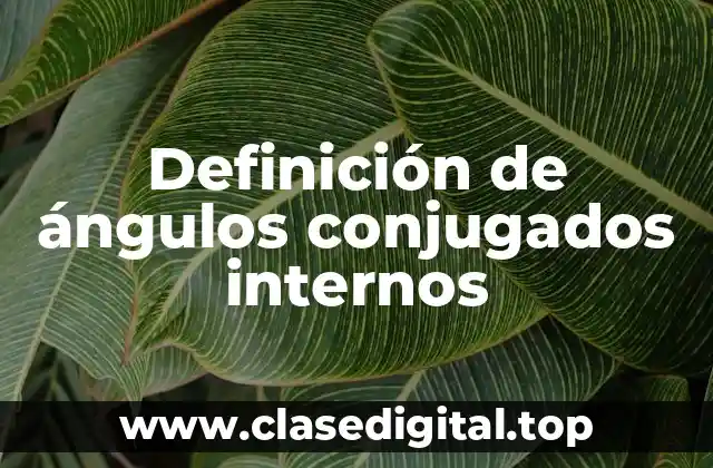 Ejemplos de ángulos conjugados internos