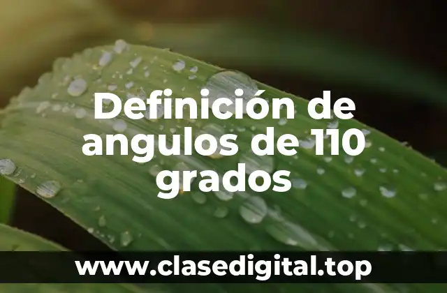 Definición de angulos de 110 grados