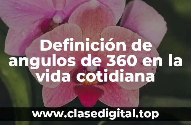 Definición de angulos de 360 en la vida cotidiana