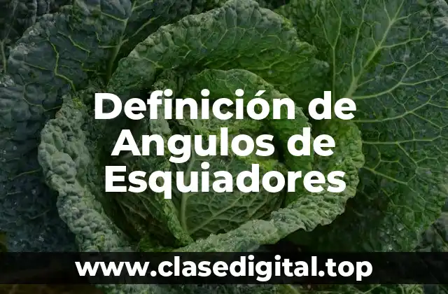 Definición de Angulos de Esquiadores