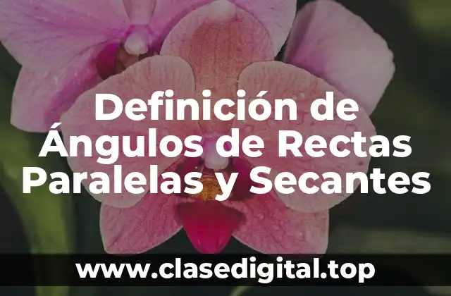 Definición de Ángulos de Rectas Paralelas y Secantes
