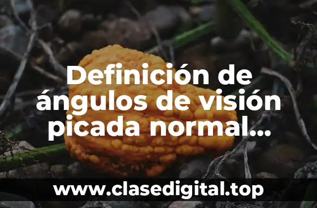 Definición de ángulos de visión picada normal laterales y contrapicada