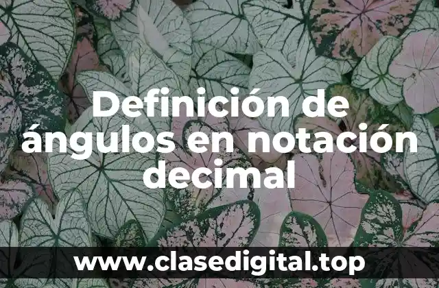Definición de ángulos en notación decimal