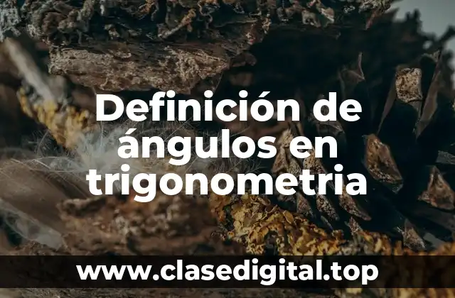 Definición de ángulos en trigonometria