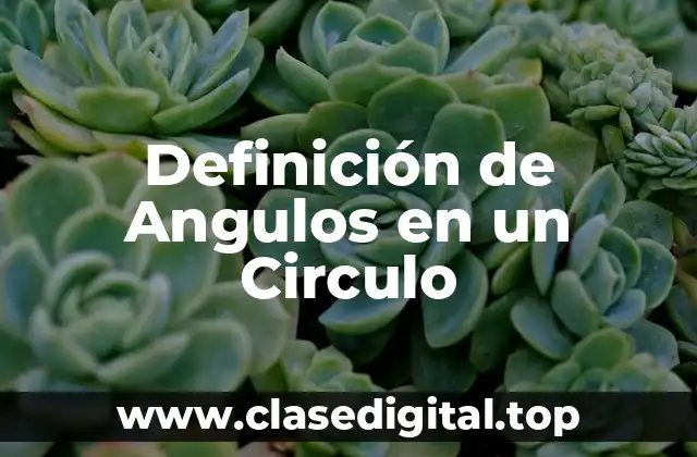 Definición de Angulos en un Circulo