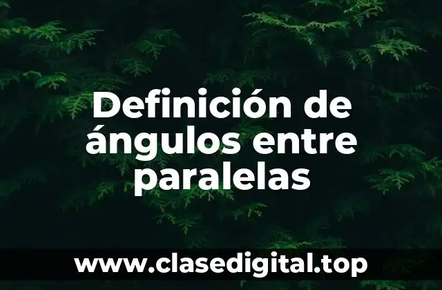 Definición de ángulos entre paralelas