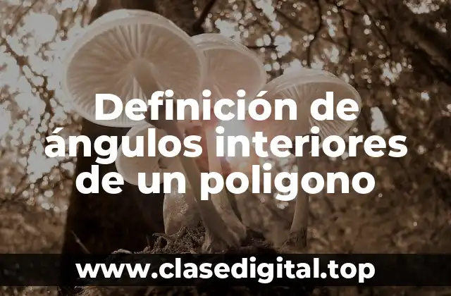 Definición de ángulos interiores de un poligono