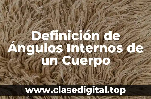 Definición de Ángulos Internos de un Cuerpo