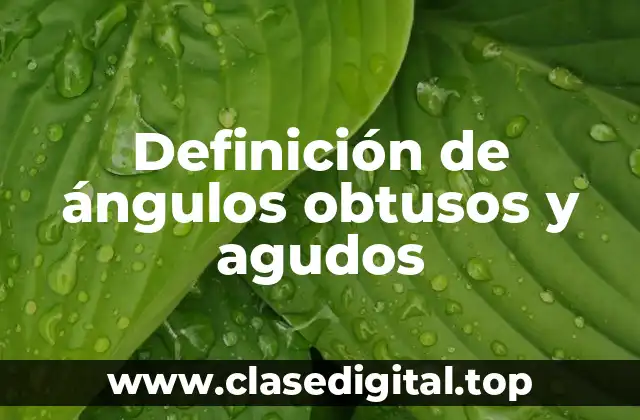 Definición de ángulos obtusos y agudos