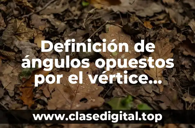 Definición de ángulos opuestos por el vértice resueltos