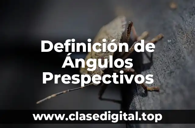 Definición de Ángulos Prespectivos