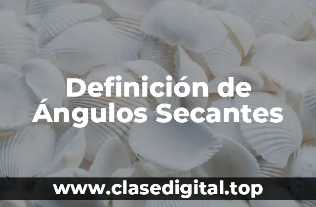 Definición de Ángulos Secantes