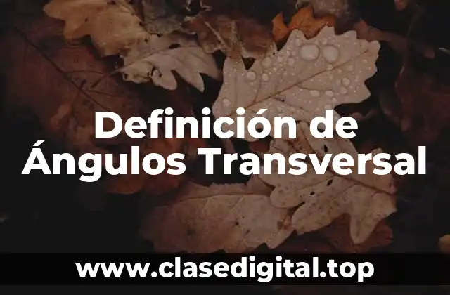 Definición de Ángulos Transversal