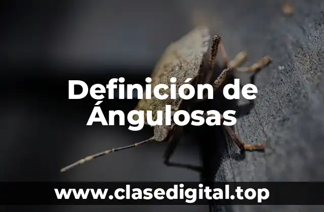 Definición de Ángulosas