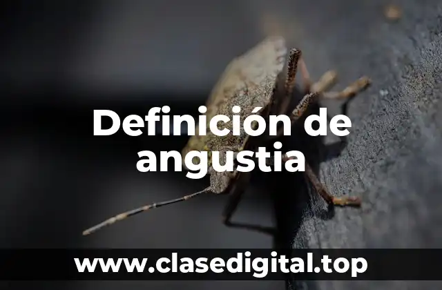 Definición técnica de angustia