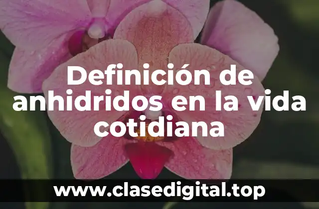 Definición de anhidridos en la vida cotidiana