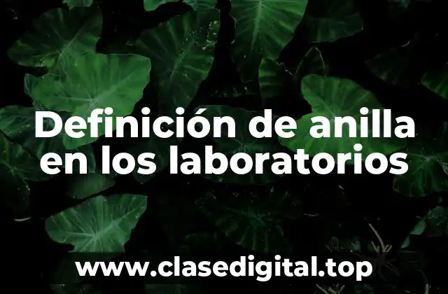 Definición de anilla en los laboratorios