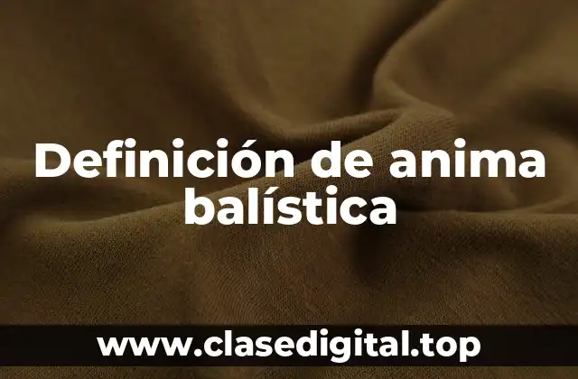 Definición de anima balística
