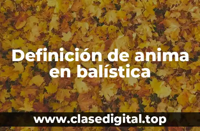 Definición de anima en balística