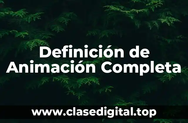 Definición de Animación Completa