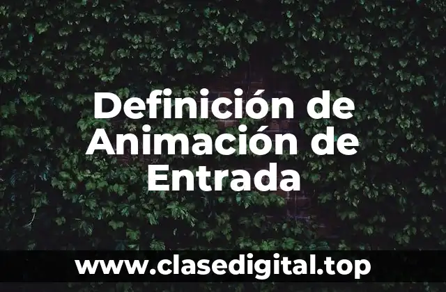 ¿Qué es Animación de Entrada?