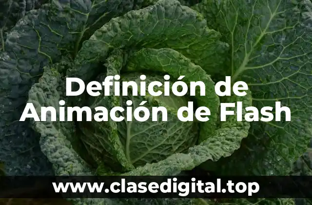 Definición de Animación de Flash