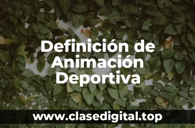 Definición de Animación Deportiva
