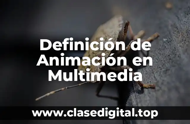 Definición Técnica de Animación en Multimedia