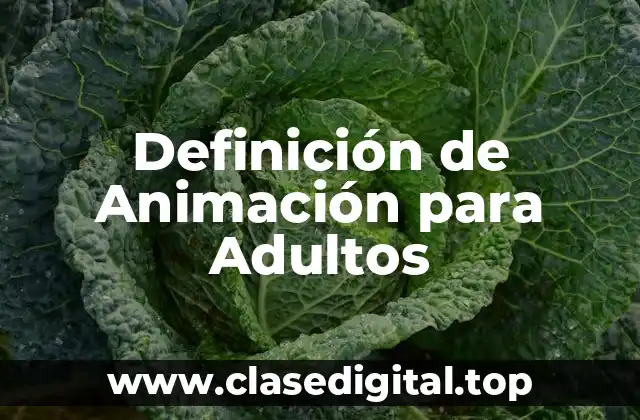 Definición de Animación para Adultos