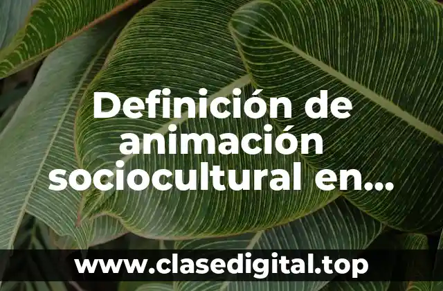 Ejemplos de animación sociocultural en México