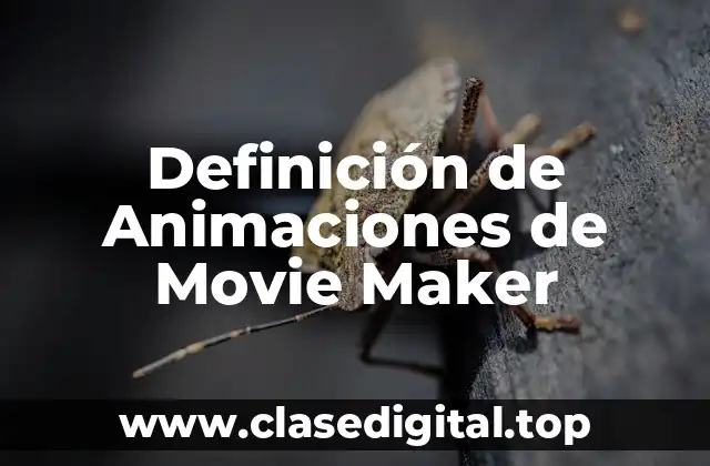 Definición técnica de Animación de Movie Maker