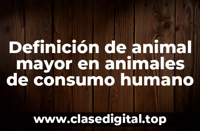 Definición de animal mayor en animales de consumo humano