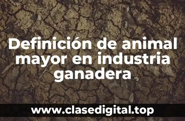 Definición de animal mayor en industria ganadera