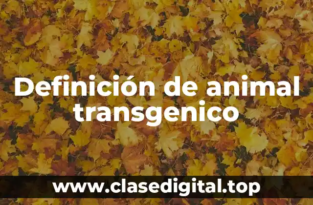Definición de animal transgenico