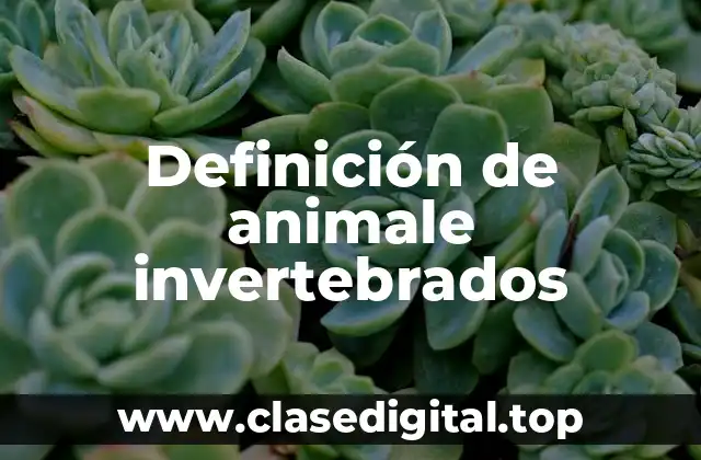 Definición de animale invertebrados