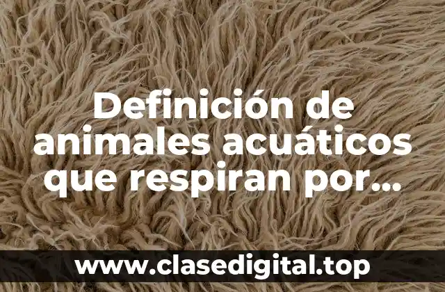 Definición de animales acuáticos que respiran por pulmones