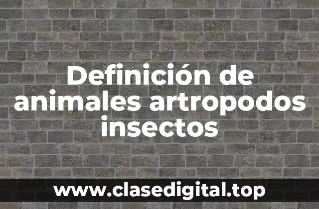 Definición de animales artropodos insectos